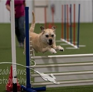 Meet your Posher, Diane